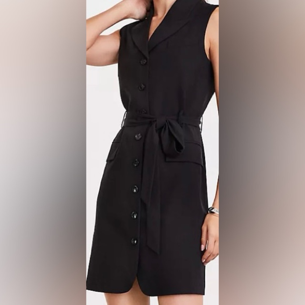 Ann Taylor Loft Black Sleeveless Button Down Dress Women's 4 - Picture 5 of 9